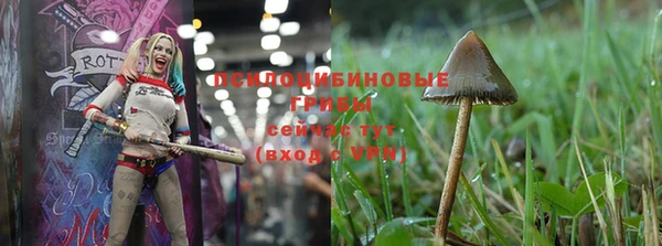 дмт Балабаново